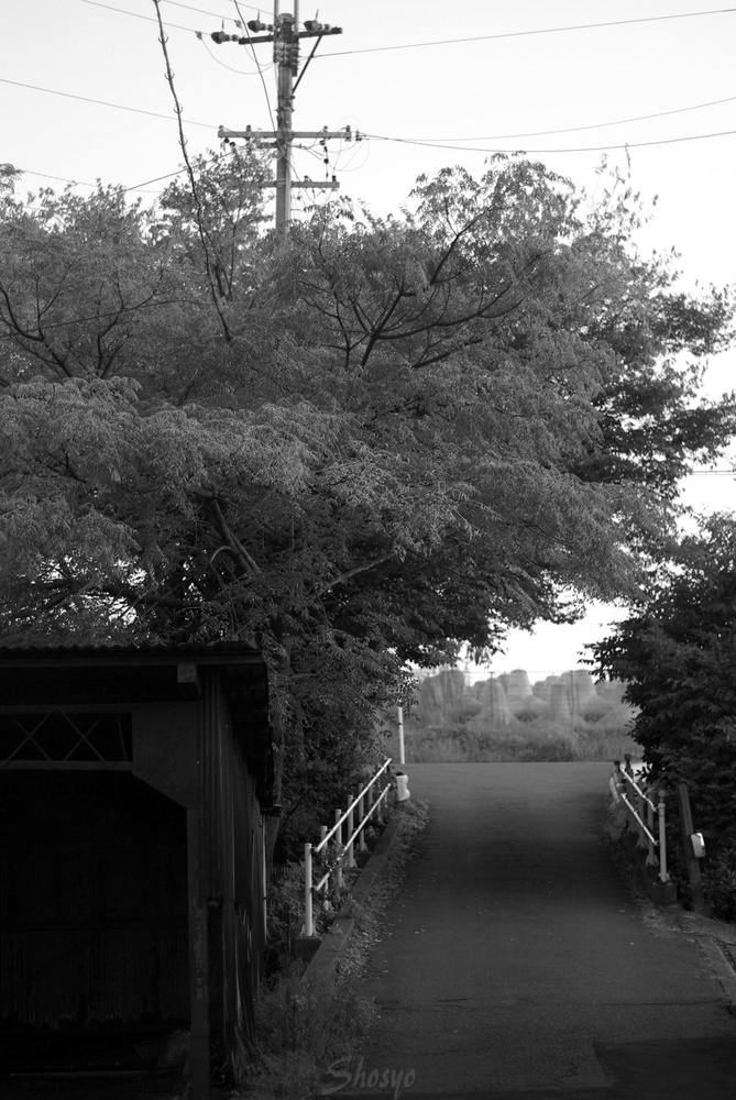 FA50mm/F1.4