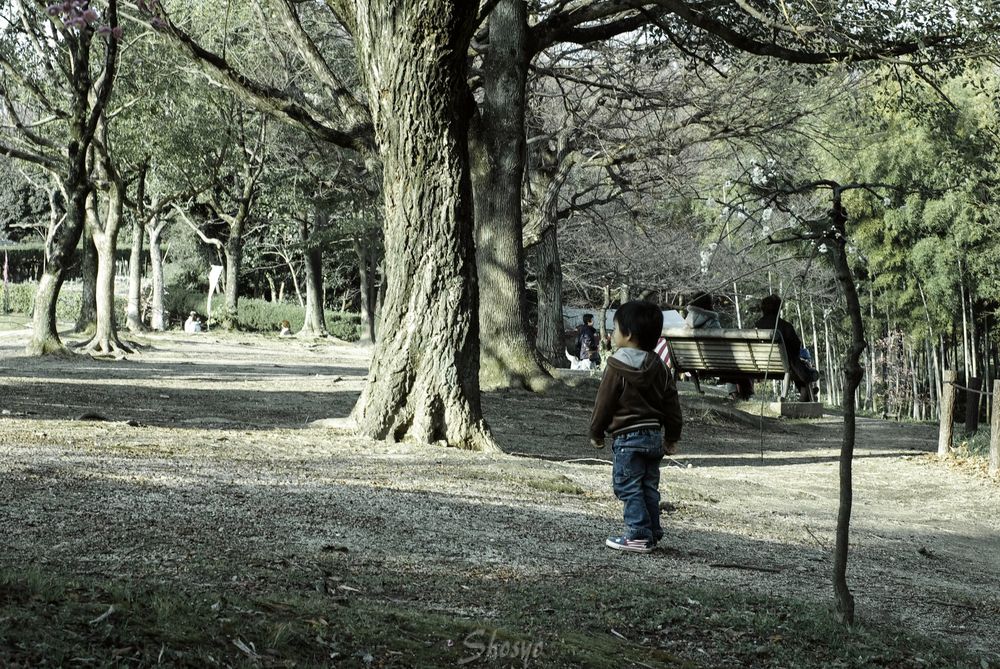 FA50mm/F1.4