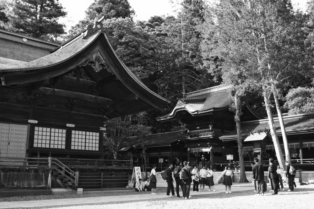 ★150520-K3_FA24_321Fomapan400s.jpg