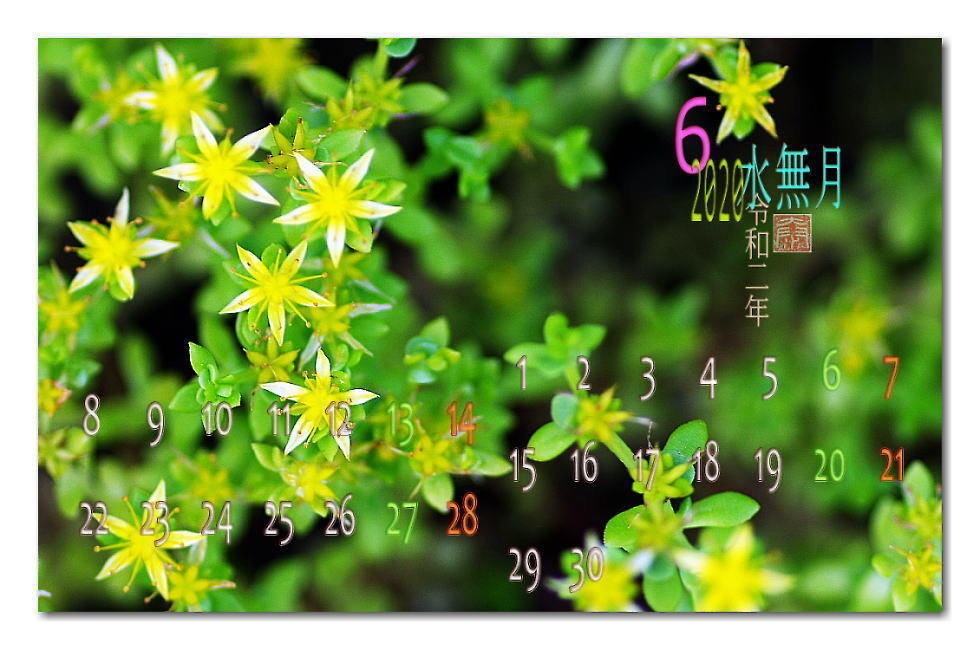 2020 6月-S