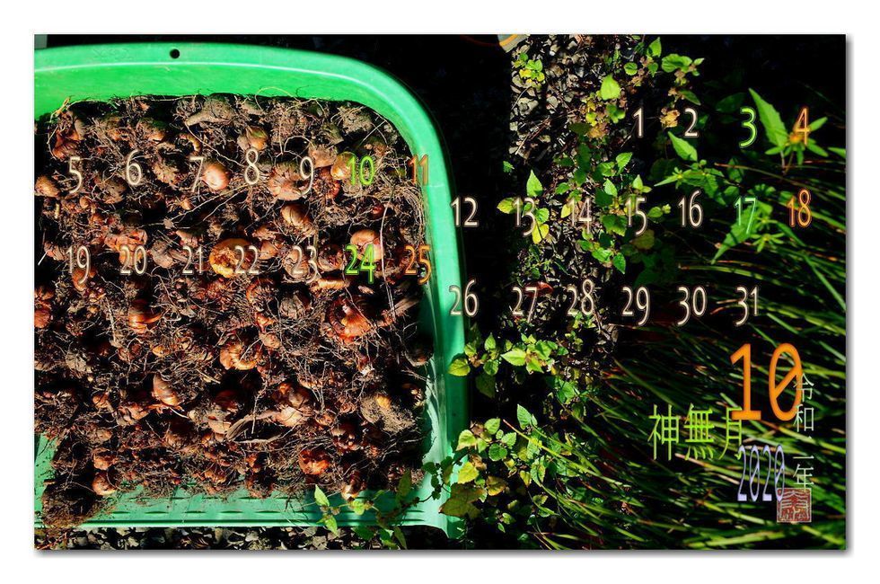 2020 10月-S